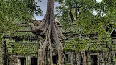 Restoring the Ancient Angkor Wat 1200x800