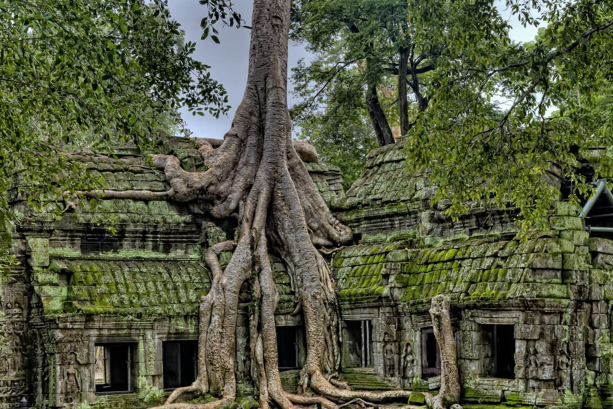 Restoring the Ancient Angkor Wat 1200x800