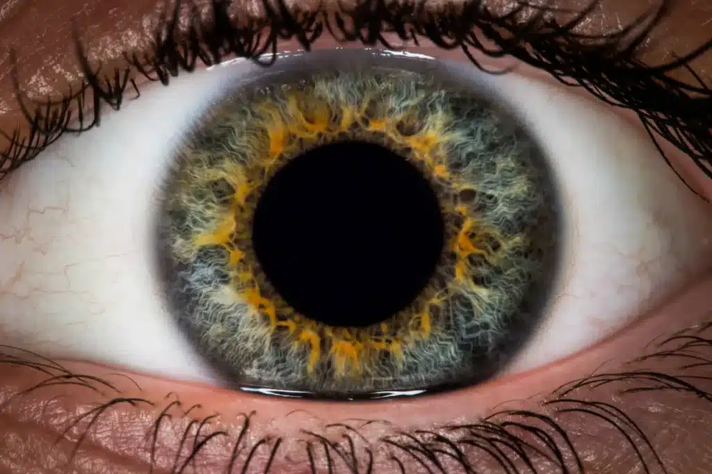 Close up Image of an Eye