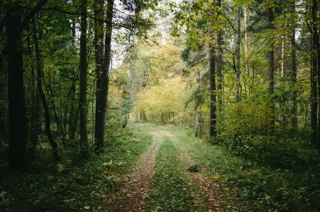 On The Hannibals Trail