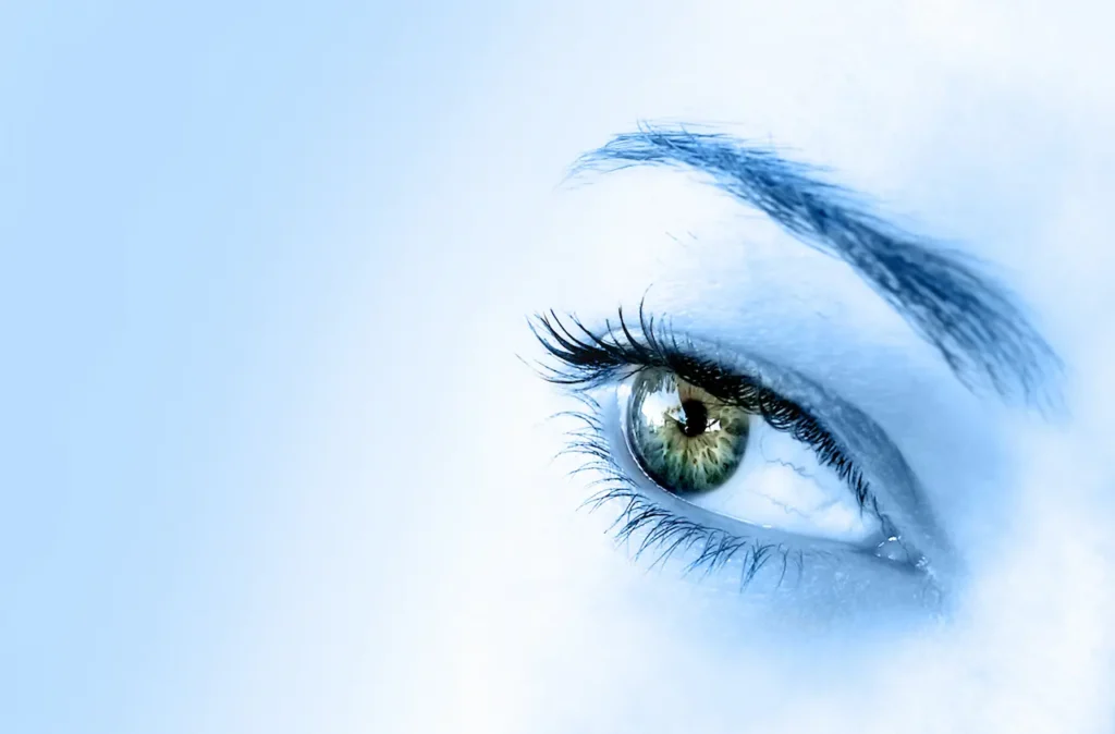 The Eye