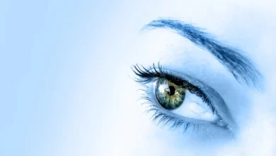 The Eye