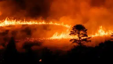The Great Inferno in Australia