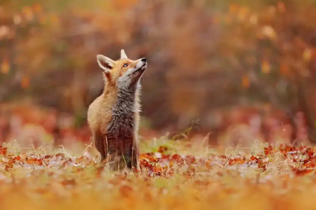 The Pure Photography with Jason Edwards