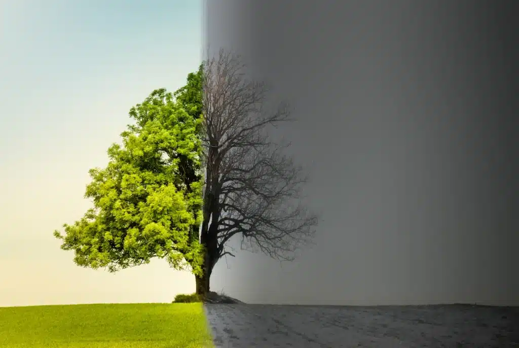 Tree with Climate or Season Change