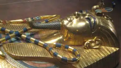 Uncovering The King Tut's Tomb