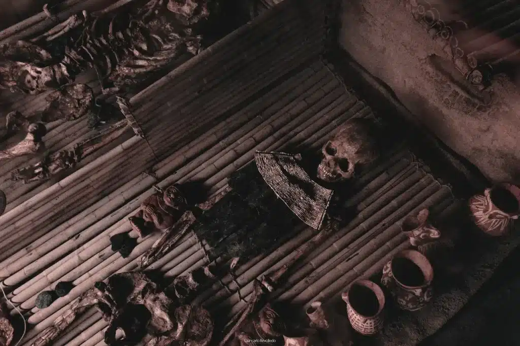 HumanHuman Skeleton  Skeleton 
