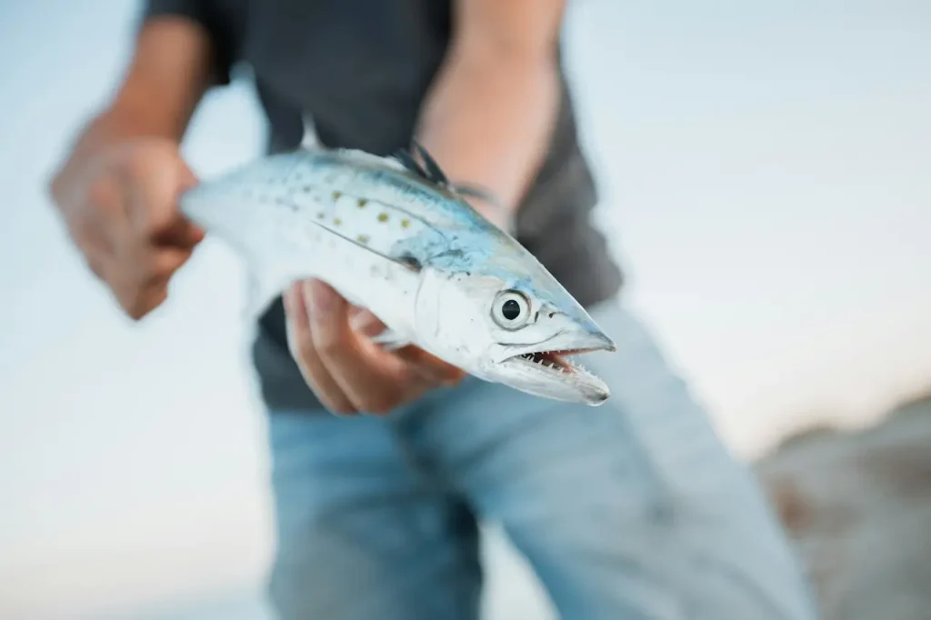 Image of a Big Fish in a Mans Hand 