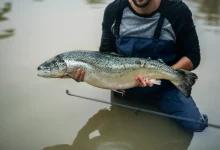 Monster Fish Australia