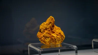 The 400 Million-Dollar Rock