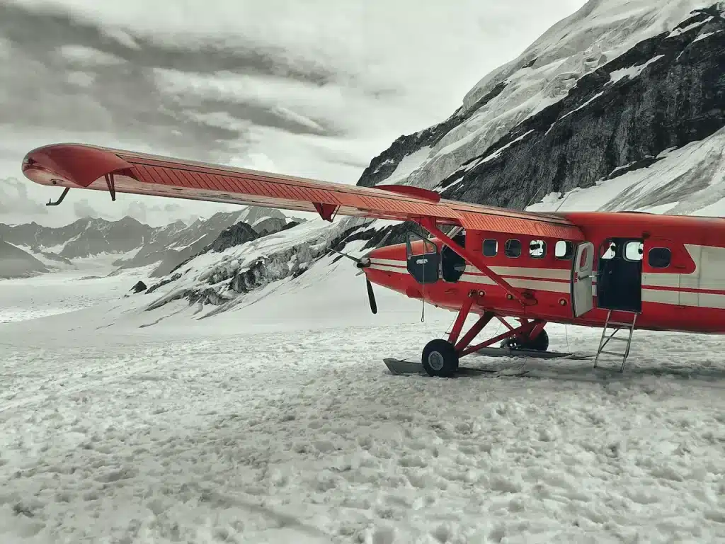 The Alaska Wingmen