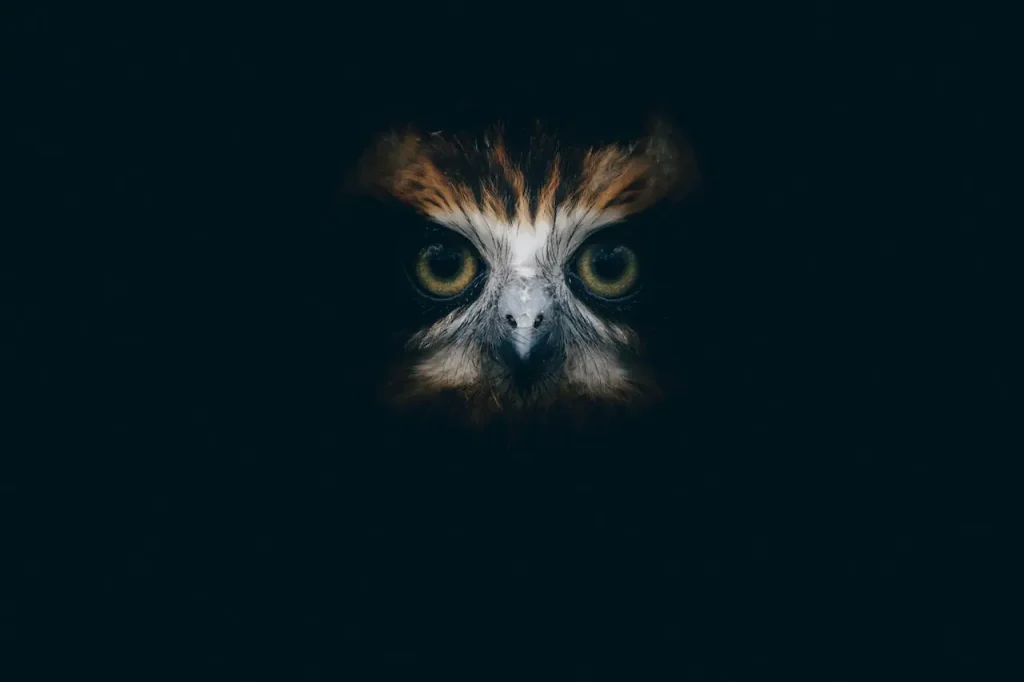 The Great Grey Owl