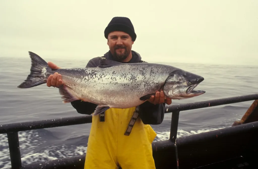 The Story Behind the Salmon Wars