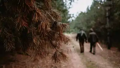 Darren McMullen the Outsiders