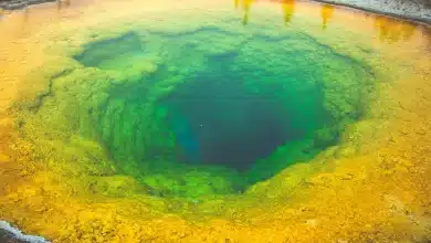 Discovering The Formation Of Underwater Volcanoes