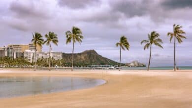people walking on beach during daytime