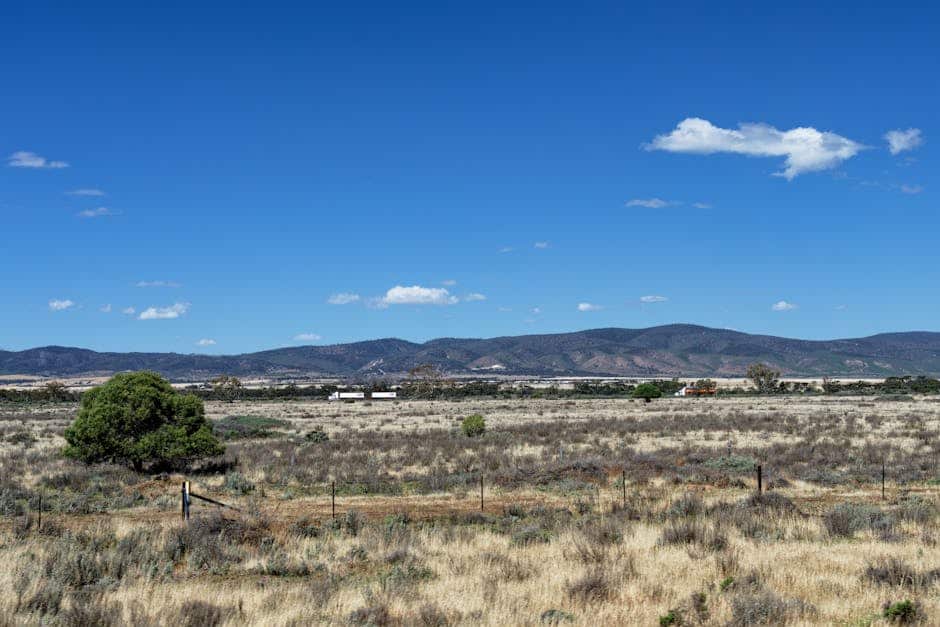 Expansive view of the Australian outback landscape under a clear blue sky. Hills in the distance with sparse vegetation.