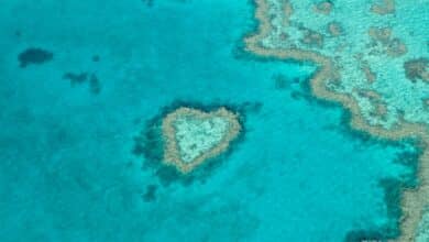 Aerial view of a heart-shaped coral reef formation.