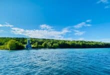 green trees beside body of water under blue sky during daytime