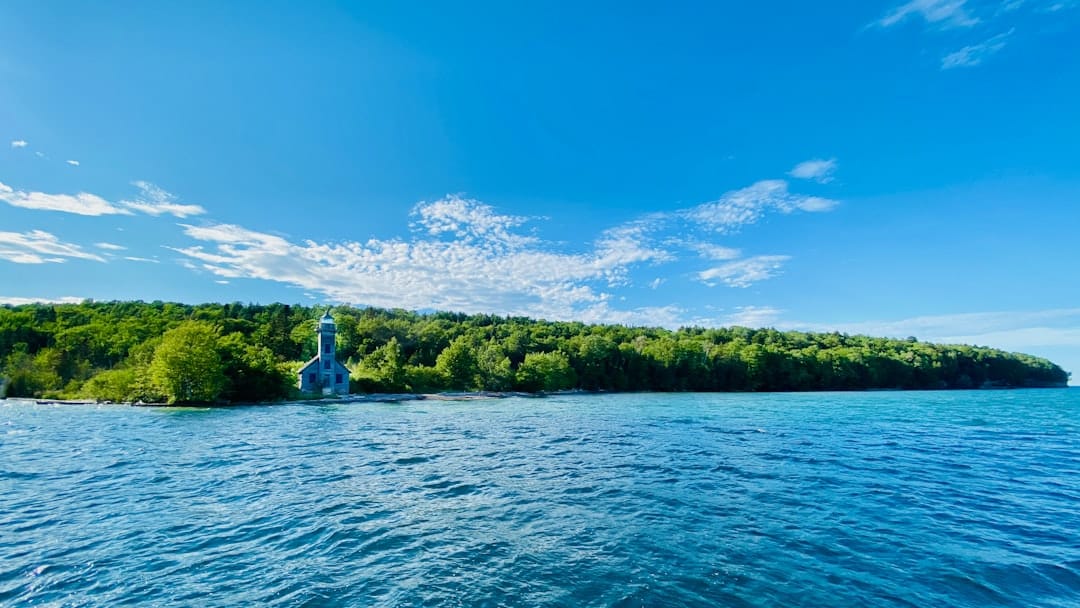 green trees beside body of water under blue sky during daytime
