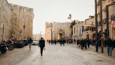 people walking on street