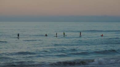 People paddleboarding on the ocean at dusk