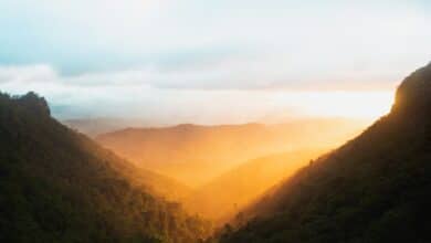 green mountains under white sky during daytime