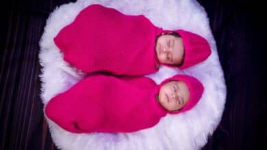 Charming image of twin babies peacefully sleeping in pink knit swaddles on a fluffy surface.