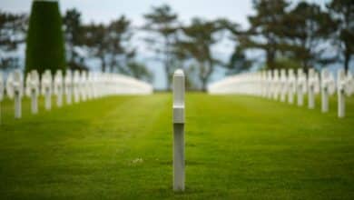 white wooden fence on green grass field during daytime