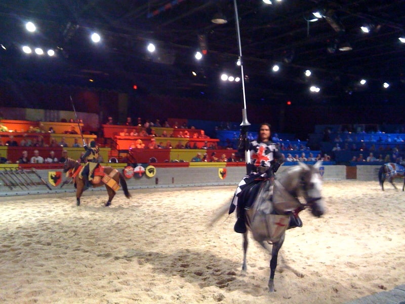 Knights of Mayhem jousting: Medieval Times Dinner Horses Jpg