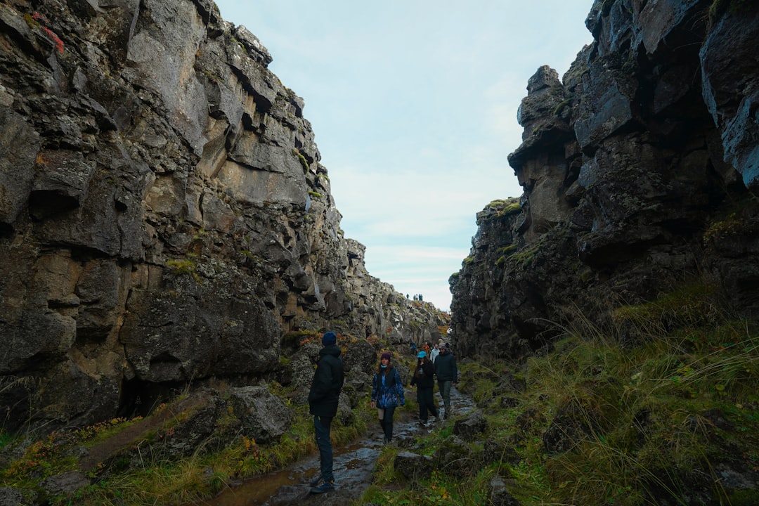 Hikers walk through a rocky canyon with green grass.