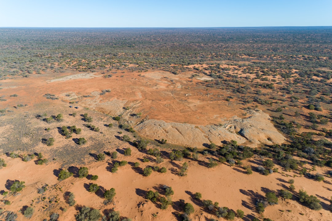 an aerial view of a desert with trees